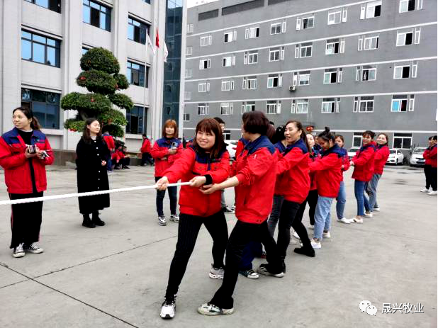 彩神(中国区) - 官方网站