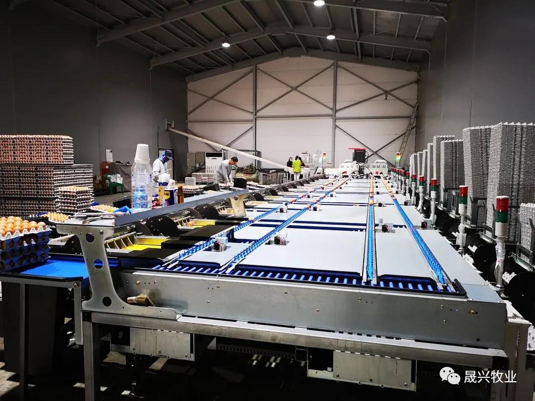 彩神(中国区) - 官方网站