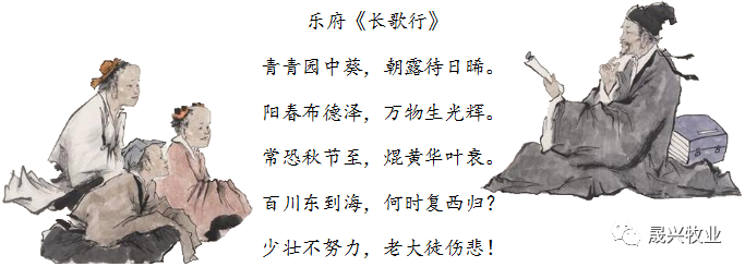 彩神(中国区) - 官方网站