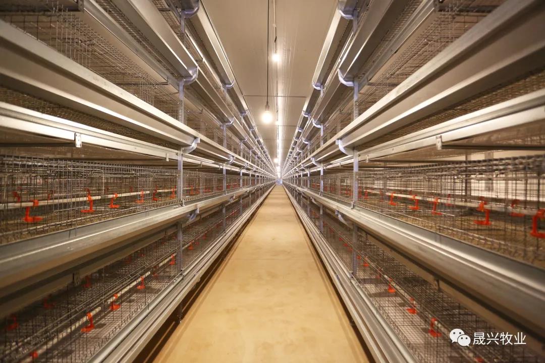 彩神(中国区) - 官方网站