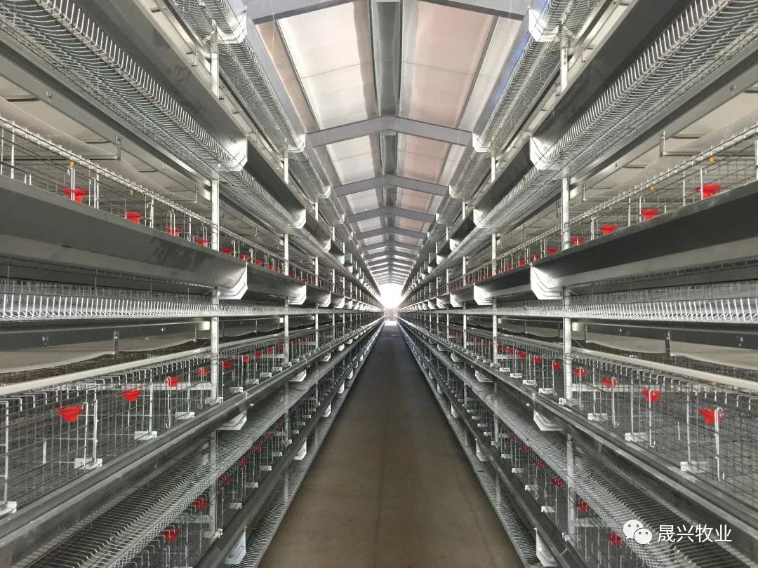 彩神(中国区) - 官方网站