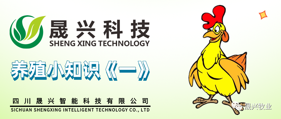 彩神(中国区) - 官方网站